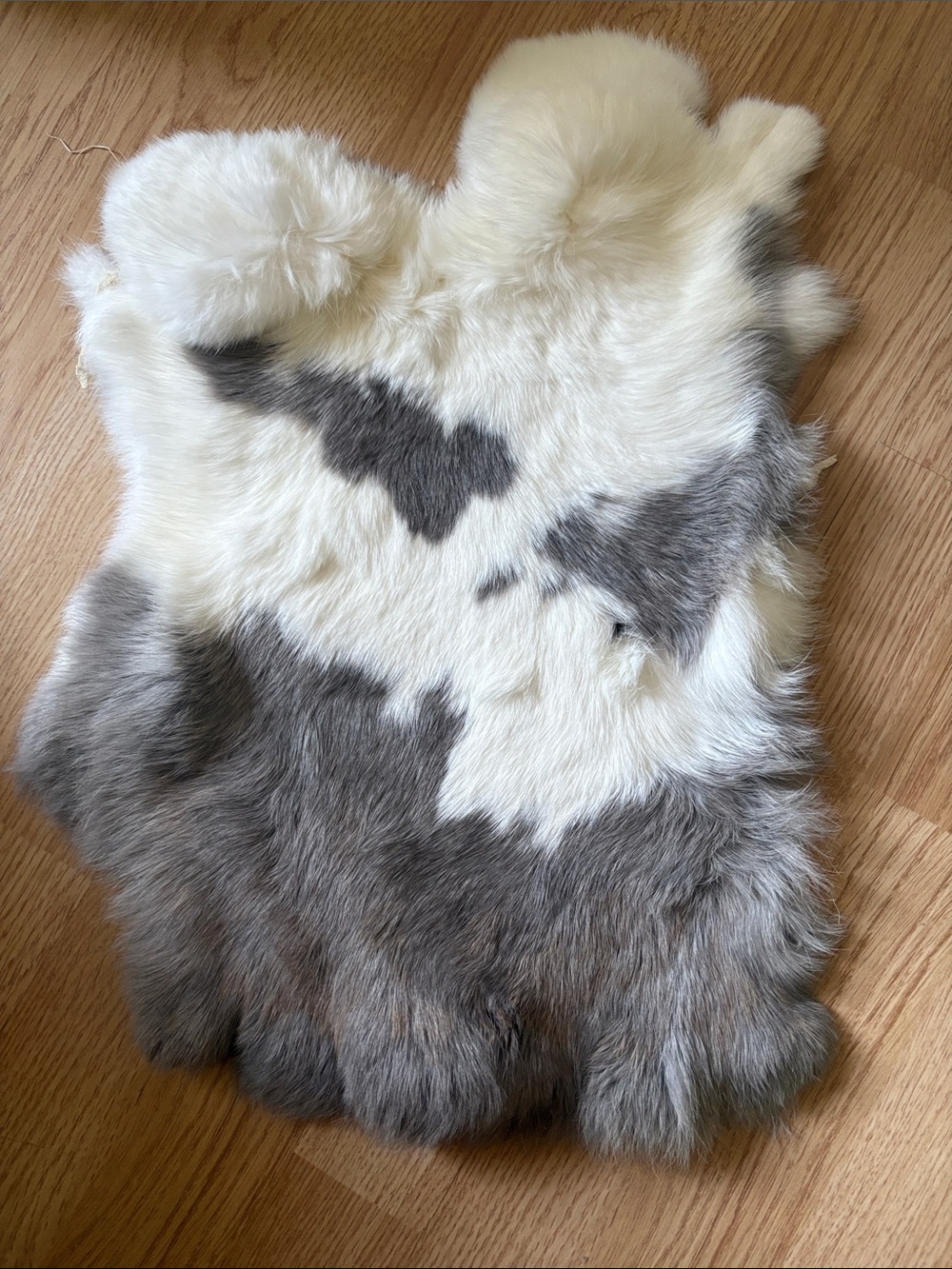 B0128 rabbit pelt